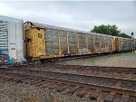 TTGX 962844